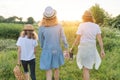 Mother with children two daughters walking along a country road, back view Royalty Free Stock Photo