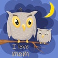 Mother and cute baby owl are sitting on a tree branch. Royalty Free Stock Photo