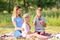 Mother with cute children blowing soap bubbles in park Royalty Free Stock Photo