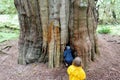 A mother and daugher having fun exploring the forest of sitka spruce or Picea sitchensis, along the beautiful golden spruce trail Royalty Free Stock Photo