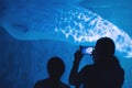 A mother and daughter at the aquarium taking photos on a mobile phone of a beluga whale Royalty Free Stock Photo