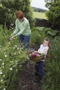 Mother And Daughter Collecting Flowers In Garden Royalty Free Stock Photo