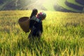 Mother and daughter on cornfield