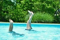 Mother and daughter doing handstands in the pool Royalty Free Stock Photo