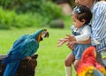 mother and daughter feeding blue-and-yellow macaw (Ara ararauna) bird on hand Royalty Free Stock Photo