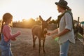 Mother and daughter feeding donkey with carrot Royalty Free Stock Photo