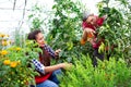 Mother with daughter in garden with tomatoes seedlings