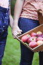 Mother and daughter harvesting Royalty Free Stock Photo