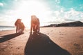 Mother and daughter having fun on tropical beach - Mum playing with her kid in holiday vacation - Travel, family lifestyle and Royalty Free Stock Photo