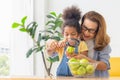 Mother and daughter looking at apple with magnifying glass, Grandmother and grandchildren playing cheerfully in living room