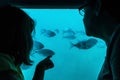 Mother and daughter looking at fish through a glass in a boat Royalty Free Stock Photo