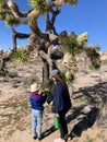 A mother and daughter looking at a joshua tree in Joshua Tree National Park, California, United States