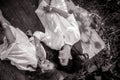 Mother and daughter lying on old bench in the forest during the outing Royalty Free Stock Photo