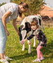 Mother and daughter petting a calf on the autumn meadow Royalty Free Stock Photo