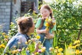 Mother and daughter picking pretty colourful flowes in their organic garden