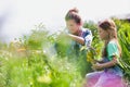 Mother and daughter picking pretty colourful flowes in their organic garden