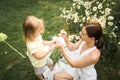 Mother plays with her daughter, relax, collect daisies Royalty Free Stock Photo