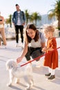 Mother and daughter are playing with a small white furry dog on a pier on a sunny day Royalty Free Stock Photo