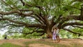 Mother and daughter standing in front of Giant Monkeypod Tree Royalty Free Stock Photo