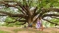 Mother and daughter standing in front of Giant Monkeypod Tree Royalty Free Stock Photo
