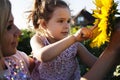 Mother and a daughter in the sunflowers Royalty Free Stock Photo