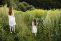 Mother with daughter walking along a country road, background summer meadow sunset, back view Royalty Free Stock Photo