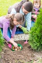 Mother and daughters planting tulip bulbs Royalty Free Stock Photo