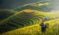 Mother and Dauther Hmong Royalty Free Stock Photo