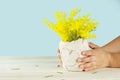Mother day gift. Child`s hands holding a diy ceramics vase with yellow flowers. Isolated on blue background Royalty Free Stock Photo