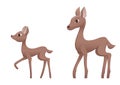 Mother deer and fawn Royalty Free Stock Photo