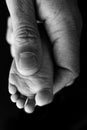 Mother is doing massage on her baby foot. Close up baby feet in mother hands on a black background. Royalty Free Stock Photo