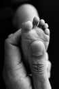 Mother is doing massage on her baby foot. Prevention of flat feet, development Royalty Free Stock Photo