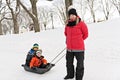 Mother drag his two boy in sled Royalty Free Stock Photo