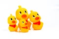 Mother duck and ducklings. Duck mother animal and family duckling.the Happines family