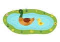 Mother duck with her baby duckling on the lake. Pond with birds on it print in cartoon style Royalty Free Stock Photo