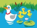 Mother duck with three baby ducks in the pond. Royalty Free Stock Photo