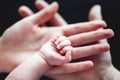 Family love concept. Mom and pap holding newborn little hand