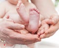 Mother and father gently hold baby legs in hands Royalty Free Stock Photo