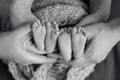 Mother and father`s hands cradling twin babies feet Royalty Free Stock Photo