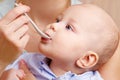 Mother feeding baby baby food with a spoon Royalty Free Stock Photo