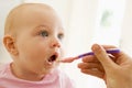 Mother feeding baby food to baby Royalty Free Stock Photo