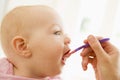 Mother feeding baby food to baby Royalty Free Stock Photo