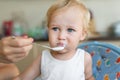 Mother feeding cute adorable caucasian little blond toddler boy with yogurt or milk cottage cheese for lunch snack Royalty Free Stock Photo