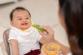Mother feeding her asian baby daughter with pumpkin mashed or vegetable mash for vitamin on rubber spoon.Mom trying feed little Royalty Free Stock Photo