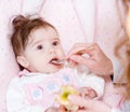 Mother feeding her baby apple puree Royalty Free Stock Photo