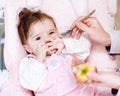 Mother feeding her baby apple puree Royalty Free Stock Photo