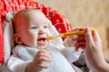 Mother feeding her happy baby son with spoon. Mother giving healthy food to her adorable child at home. Parent feeding baby boy in Royalty Free Stock Photo