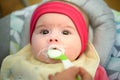 Mother feeding hungry five month old baby with spoon, solid food. Newborn feeding concept Royalty Free Stock Photo