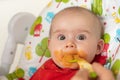 Mother feeding hungry six month old funny baby with solid food Royalty Free Stock Photo