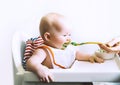 Mother feeding little baby with spoon Royalty Free Stock Photo